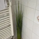 Schoene Mitten In Apartment Koblenz (Rhineland-Palatinate)